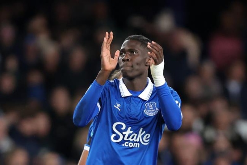 Anh có chỗ đứng vững chắc tại tuyển Bỉ và là một tiền vệ quan trọng của “ Quỷ đỏ châu Âu” 